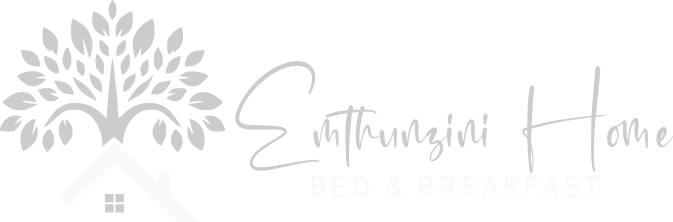 Emthunzini Home Logo Design